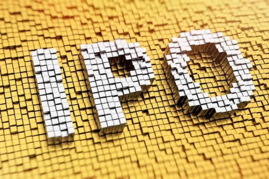Promoter Enrichment or Founder Incentive? A Corporate Governance Perspective on ESOPs in IPO-bound Companies